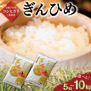 yӂ邳Ɣ[Łz OdY RVqJ Ђ  5kg 10kg ӂ邳Ɣ[ ӂ邳  R   Mtg v[g  蕨 j jԗi lC  Od  