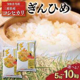 【ふるさと納税】 三重県産 コシヒカリ ぎんひめ 精米 5kg 10kg ふるさと納税 ふるさと 米 コメ こめ おこめ ギフト プレゼント 贈答 贈り物 御祝い お祝い返礼品 人気 お取り寄せ 三重米 お米 新米 白米 精米 ブランド米 国産 JA M2356 M2357