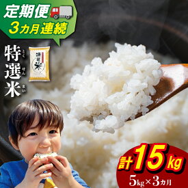 【ふるさと納税】 三重県産 特選米 コシヒカリ 5kg 定期便 ふるさと納税 ふるさと 米 コメ こめ おこめ ギフト プレゼント 贈答 贈り物 御祝い お祝い返礼品 人気 お取り寄せ 三重米 お米 新米 白米 精米 ブランド米 国産 毎月届く MK33