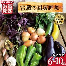 【ふるさと納税】 宮殿の厨房野菜 六月農園 おまかせセット 野菜 セット 産地直送 おまかせ 季節の野菜 旬 詰め合わせ 人気 限定 有機栽培 オーガニック 明和町 国産 リピート N5