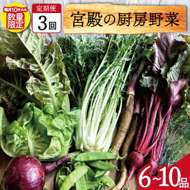 【ふるさと納税】 宮殿の厨房野菜 おまかせ定期便 （3回） 六月農園 野菜 セット 産地直送 おまかせ 季節の野菜 旬 詰め合わせ 人気 限定 有機栽培 オーガニック 明和町 国産 リピート 定期便
