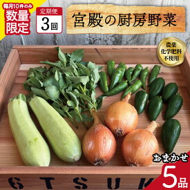 【ふるさと納税】 宮殿の厨房野菜 おまかせ定期便 （3回） 六月農園 野菜 セット 産地直送 おまかせ 季節の野菜 旬 詰め合わせ 人気 限定 有機栽培 オーガニック 明和町 国産 リピート