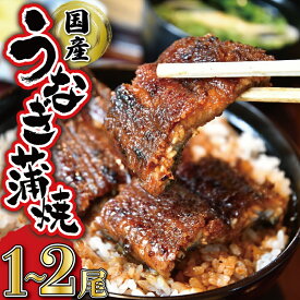 【ふるさと納税】 うなぎのかば焼き (タレ付き) うな丼 丼 蒲焼 精力 国産 三重 お祝い 特別な日 有名店 行列 職人技 タレ