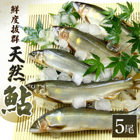 【ふるさと納税】天然 鮎（生） 5尾／ 冷凍 いとう あゆ 川魚 ご自宅用 家庭用 ギフト 贈答用 真空パック 三重県 大台町 (314)