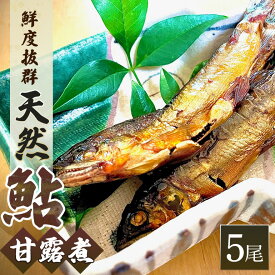 【ふるさと納税】天然 鮎 甘露煮 5尾／ 冷凍 いとう あゆ 川魚 おかず ご飯のお供 ご自宅用 家庭用 ギフト 贈答用 三重県 大台町 (315)
