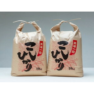 yӂ邳Ɣ[ŁzЂ  20kg ^ ϖ؏X       Od 䒬