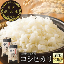 楽天市場 ふるさと納税 米 Kgの通販