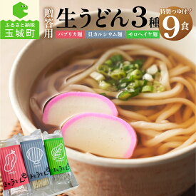 【ふるさと納税】ギフト うどん 贈答用 お歳暮 プレゼント オリジナル箱 生うどん カルシウム モロヘイヤ パプリカ 170g 3種 3食 計 9食 栄養 ビタミン つるつる 麺 ざるうどん 鍋焼きうどん 季節 美味しい プレゼント お歳暮 三重県 玉城町 さんておーる食堂