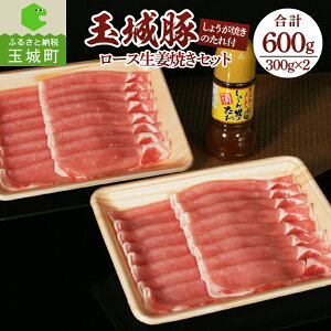 yӂ邳Ɣ[Łzʏ [X  ؓ IĂ ^ IWi ē BBQ NX}X NNn  Zbg 300g 2pbN 600g ~G} 220ml ʏ钬 Od ʏANgt@[