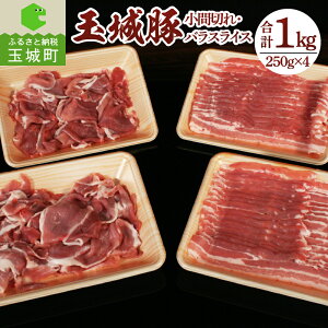 yӂ邳Ɣ[Łzʏ Ԑ؂ ؂ oXCX  ؓ BBQ ē 蕨 v[g Ε  NX}X Cxg 250g 4pbN 1kg uh Od ʏ钬 ʏANgt@[