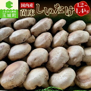 yӂ邳Ɣ[Łz ̂ R  Y ۏ  1.2kg`1.4kg OdY ʏ钬 (L)MCD 
