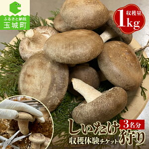 yӂ邳Ɣ[Łz ̂ n ̌ `Pbg  ̂ R  Y ۏ  i 3 Ղ n 1kg A Od ʏ钬 (L)MCD 