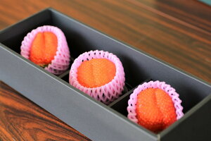 �y�ӂ邳�Ɣ[�Łz������ �ʏ�Y ������� 3�� �t���[�c �X�g���x���[ �f�U�[�g �P�[�L �p�[�e�B�[ �M�t�g ���j�� ���� �Â� �O�d�� �ʏ钬 ���J�_��