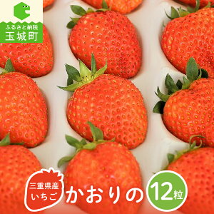 �y�ӂ邳�Ɣ[�Łz������ �ʏ�Y ������� 12�� �t���[�c �X�g���x���[ �f�U�[�g ���� �Â� �P�[�L �p�[�e�B�[ �M�t�g �ʕ� ���� ������ �O�d�� �ʏ钬 ���J�_��