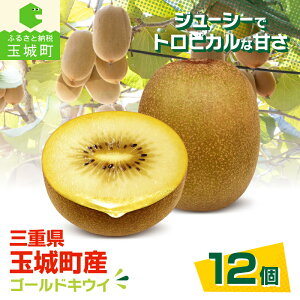 yӂ邳Ɣ[Łz LEC t[c Odʏ钬Y S[hLEC 1.2kg 2025N12{(\)o H r^~ N e ʏ钬ό Od ʏ钬