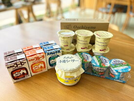 【ふるさと納税】（冷蔵） 大内山 お楽しみBOX B ／ 松田商店 ふるさと納税 詰め合わせ 手造り バター ヨーグルト プリン 乳飲料 三重県 大紀町