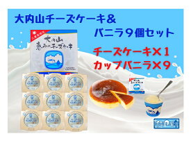 【ふるさと納税】（冷凍）大内山チーズケーキ＆バニラ9個セット ／ 大紀町　大内山ミルク村　大内山乳製品　大内山酪農