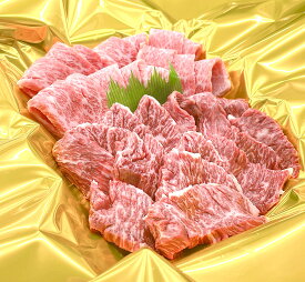 【ふるさと納税】（冷凍）松阪牛焼肉（特選カルビ・ハラミ）合計500g ギフト箱入 b-121 ／ 瀬古食品 ふるさと納税 牛肉 松阪肉 名産 ブランド 霜ふり本舗 三重県 大紀町