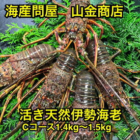 楽天市場 ふるさと納税 伊勢海老の通販