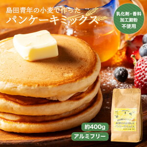 yӂ邳Ɣ[Łz cN̏ōpP[L~bNX@400g^@~bNX@p@P[L@Od@ɐu