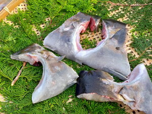 魚 カマの人気商品 通販 価格比較 価格 Com