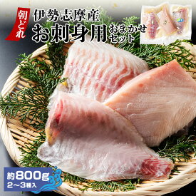 【ふるさと納税】（冷蔵）伊勢志摩産　朝どれ　2～3種（約800g）　お刺身用　おまかせセット／城水産　鯛　鰤　たい　ブリ　新鮮　真空　海の幸　三重県　南伊勢町