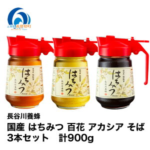 yӂ邳Ɣ[Łz Y ݂͂ S AJVA  300g ^b`{g × 3{Zbg v900g J{I M r  ݂͂ n`~c I honey  [Og H nj[ h 