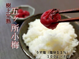 【ふるさと納税】 梅干し 手作り 計400g 100g×4個 小分け うす塩 梅干 うめぼし うめ うめ干し 小梅 梅 ume 無添加 樹上 完熟 塩分 11% しそ ごはんのお供 ご飯 ごはん お米 米 お茶漬け すっぱい 小梅 国産 ないぜしぜん村 五ヶ所 伊勢 志摩 三重県 南伊勢町 8000円 8千円