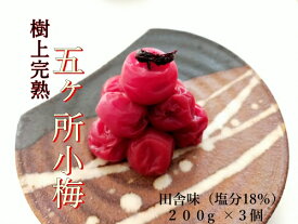 【ふるさと納税】 梅干し 手作り 計600g 200g×3個 小分け しそ 梅干 うめぼし うめ うめ干し 小梅 梅 ume 無添加 完熟 塩分 18% しそ ごはんのお供 ご飯 ごはん お米 米 ※ 茶漬け お茶漬け すっぱい 国産 ないぜしぜん村 五ヶ所 伊勢 志摩 三重県 南伊勢町 9000円 9千円
