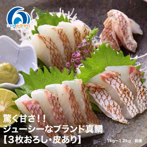 yӂ邳Ɣ[Łz ^ ^C hg 1kg`1.2kg 3낵 ① 炠 VN N   hg Ԃ ₵  ߂ ⒃Ђ t Ă ϕt uh Od ɐ ɐ 