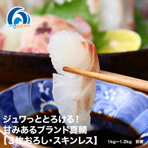 yӂ邳Ɣ[Łz ^ ^C hg 1kg`1.2kg 3낵 ① Ȃ XLX VN N   hg Ԃ ₵  ߂ ⒃Ђ Ă ϕt uh Od ɐ