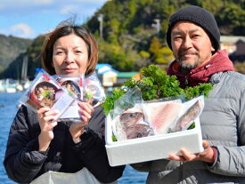 【ふるさと納税】（冷蔵） 人が食すために育てられほぼ捌かれている 真鯛・鯛めしの素 セット ／ 友栄水産 鯛 真鯛 鯛めし お刺身 炙り 塩焼き 煮つけ 伊勢志摩 三重県 南伊勢町