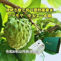 楽天市場】アテモヤ 1kgの通販