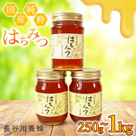 【ふるさと納税】 はちみつ 蜂蜜 250g~1kg 百花蜜 選べる容量 長谷川養蜂 純粋はちみつ ハチミツ 蜂蜜 国産はちみつ 国産純粋はちみつ ハニー honey はちみつ 三重県 伊勢 志摩 南伊勢町