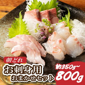 yӂ邳Ɣ[Łz hg ܂ 2`3 350`800g 荇킹 hg hg Y  u }O q}T Jp` V}AW q VN   CN CN Od ɐ ɐ u 