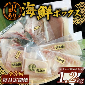 yӂ邳Ɣ[Łz  󂠂 CN {bNX 1.2kg Zbg  S2`3 Ⓚ ^pbN ܂ }O ܂  ܂   ς  V}AW q}T  VN 