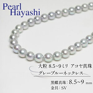 �y�ӂ邳�Ɣ[�Łz �嗱�@8.5�`9�~���@�A�R���^��@�O���[�u���[�l�b�N���X�^�@�^��@��ɐ����@�p�[���n���V�@�O�d���@�ɐ��u��