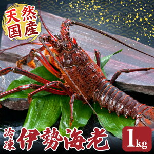 �y�ӂ邳�Ɣ[�Łz �Ⓚ �ɐ��C�V �I�ׂ�e�� ��500�`1000g �ɐ����� �Y�n���� �V�R ���Y �C�N �V�N �h���g ���X �Ă��� �M�t�g ���� ���� �C�V ebi �������� �����H�� ���Ε� ������ �N���N�n �O