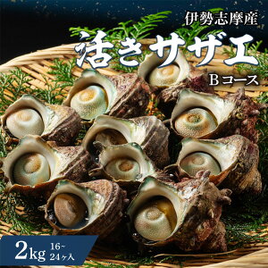 yӂ邳Ɣ[Łz TUG 1kg`2kg i8`24j ① VN CN CY  L TUG h L hg hg  ڏĂ Ă O BBQ o[xL[ Lv  Mtg 蕨 