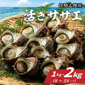 【ふるさと納税】 サザエ 1kg～2kg （8ヶ～24ヶ） 冷蔵 新鮮 海鮮 海産物 魚介 魚貝 活きサザエ 栄螺 貝 刺身 刺し身 お造り つぼ焼き 壺焼き グリル BBQ バーベキュー キャンプ 夏 ギフト 贈り物 三重 伊勢 志摩 南伊勢町 山金商店