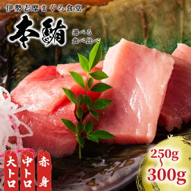 【ふるさと納税】 本マグロ 刺身 柵 約250～300g 食べ比べ 選べる内容量 本まぐろ 本鮪 専門店 マグロ 鮪 刺し身 お刺身 伊勢志摩まぐろ食堂 三重県 伊勢志摩 南伊勢町 1万円台 2万円以下