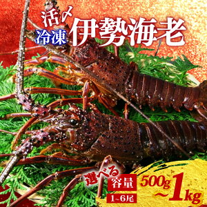 �y�ӂ邳�Ɣ[�Łz �I�ׂ� �Ⓚ �ɐ��C�V ��500g�`1kg 1�`6�� ���Y �ɐ����� �ɐ��G�r �C�Z�G�r �C�V ���� �G�r ebi �������� ���� �C�N �C�Y�� �C ���Y�i ���ܖ� �|�� �C�̍K �A�E�g�h�A BBQ �h�g 