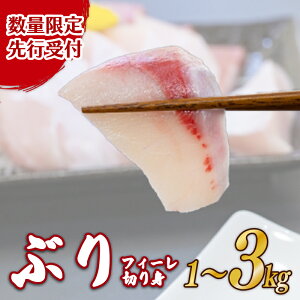 �y�ӂ邳�Ɣ[�Łz �u�� �؂�g �t�B�[�� �I�ׂ� ���e�� 1kg�`3kg �V�R�� ���Y�Ԃ� buri �Y�n���� �h�g ���h�g �Ђ��� ���Ђ� �V�N �N�� ���Y �h�g �h���g �� ���� ���Y �V�R �O�d ��ɐ��� �ɐ� �u