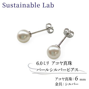 �y�ӂ邳�Ɣ[�Łz �^�� �s�A�X 6.0mm SV �V���o�[ �A�R���^�� �A�N�Z�T���[ �t�@�b�V���� akoya �p�[�� �t�H�[�}�� �J�W���A�� �v���[���g �M�t�g ���蕨 �����i ���j�� �a���� �L�O�� �������� 