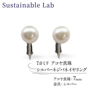 �y�ӂ邳�Ɣ[�Łz �^�� �C�������O 7.0mm SV �V���o�[ �A�R���^�� �A�N�Z�T���[ �t�@�b�V���� akoya �p�[�� �t�H�[�}�� �J�W���A�� �v���[���g �M�t�g ���蕨 �����i ���j�� �a���� �L�O�� ����