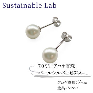 �y�ӂ邳�Ɣ[�Łz �^�� �s�A�X 7.0mm SV �V���o�[ �A�R���^�� �A�N�Z�T���[ �t�@�b�V���� akoya �p�[�� �t�H�[�}�� �J�W���A�� �v���[���g �M�t�g ���蕨 �����i ���j�� �a���� �L�O�� �������� 