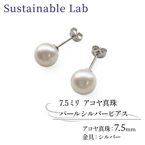 �y�ӂ邳�Ɣ[�Łz �^�� �s�A�X 7.5mm SV �V���o�[ �A�R���^�� �A�N�Z�T���[ �t�@�b�V���� akoya �p�[�� �t�H�[�}�� �J�W���A�� �v���[���g �M�t�g ���蕨 �����i ���j�� �a���� �L�O�� �������� 