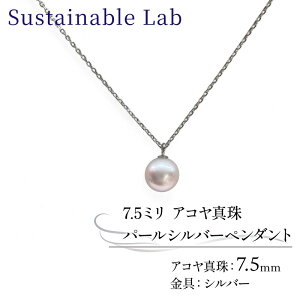 �y�ӂ邳�Ɣ[�Łz �^�� �y���_���g 7.5mm SV �V���o�[ �A�R���^�� �A�N�Z�T���[ �l�b�N���X �t�@�b�V���� akoya �p�[�� �t�H�[�}�� �J�W���A�� �v���[���g �M�t�g ���蕨 �����i ���j�� �a���� 