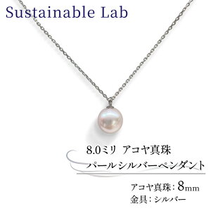 �y�ӂ邳�Ɣ[�Łz �^�� �y���_���g 8.0mm SV �V���o�[ �A�R���^�� �A�N�Z�T���[ �l�b�N���X �t�@�b�V���� akoya �p�[�� �t�H�[�}�� �J�W���A�� �v���[���g �M�t�g ���蕨 �����i ���j�� �a���� 