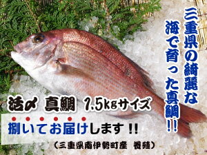 yӂ邳Ɣ[Łz i①j ^ JĂ͂ i O낵 XLX j ^ }JY Y ^pbN A hg Ԃ  ϕ z N Od ɐ